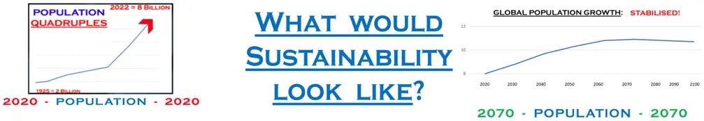 What would sustainability look like